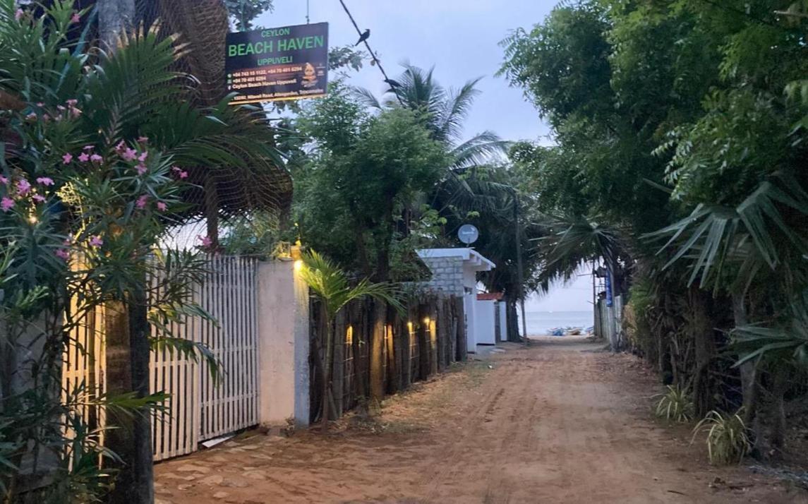 Ceylon Beach Haven Uppuveli 亭可马里 外观 照片