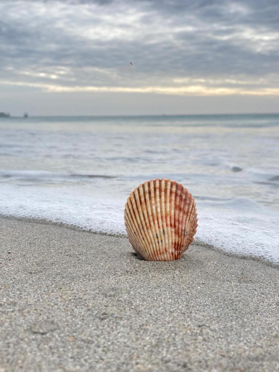 Ceylon Beach Haven Uppuveli 亭可马里 外观 照片