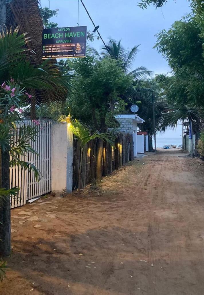 Ceylon Beach Haven Uppuveli 亭可马里 外观 照片