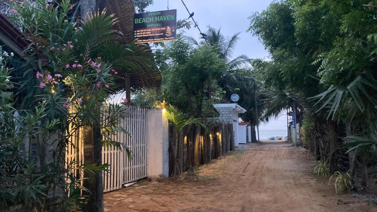 Ceylon Beach Haven Uppuveli 亭可马里 外观 照片