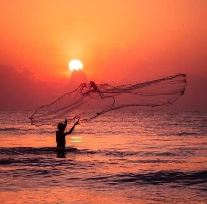 Ceylon Beach Haven Uppuveli 亭可马里 外观 照片
